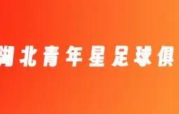 leyu部门-官方：聂傲双、唐鑫、郭毅、陈佳奇、李彪加盟湖北青年星
